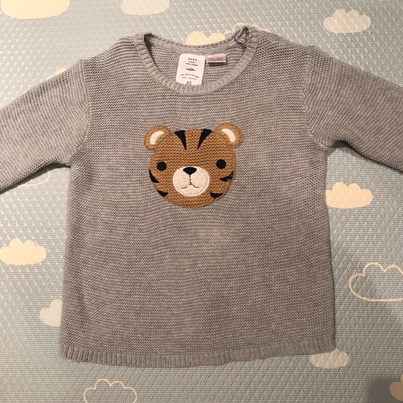 Zara Other - Zara Tiger Knit Sweater (sz 2T/3T)